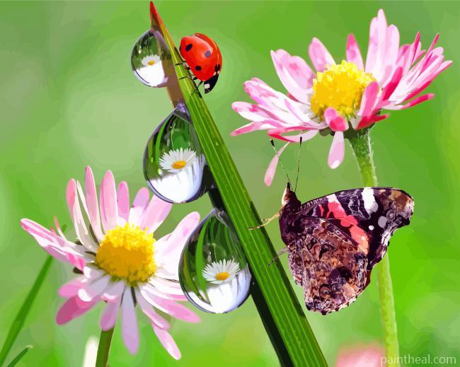 Butterfly Ladybug Painting By Numbers Kits