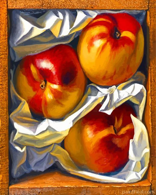 Plum Fruit Painting By Numbers Kits