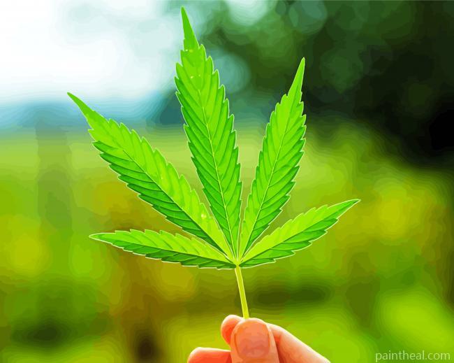 Marijuana Plant Painting By Numbers Kits