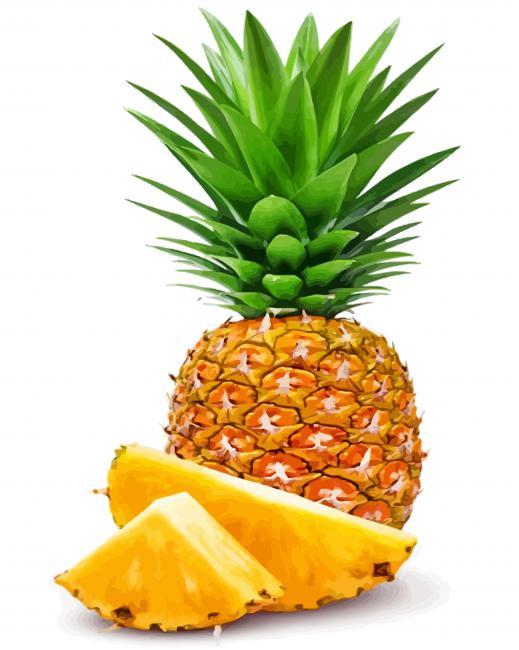 Pineapple Fruit Painting By Numbers Kits