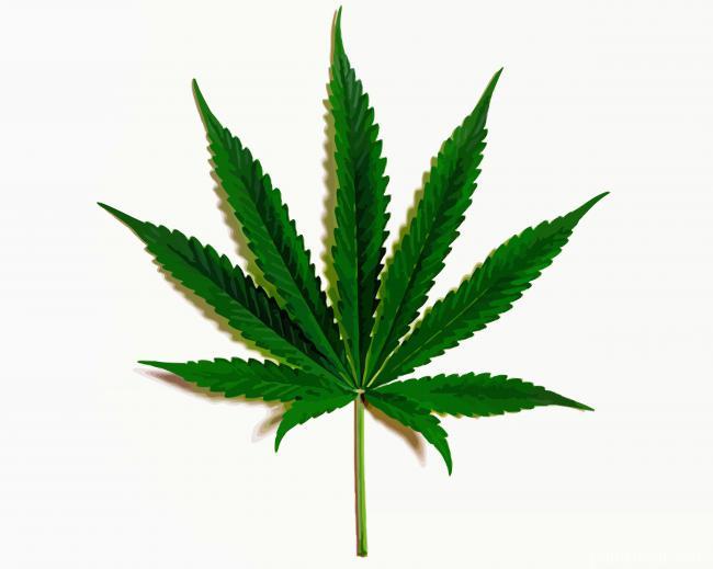Marijuana Heart Painting By Numbers Kits