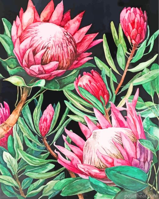 Pink Protea Painting By Numbers Kits