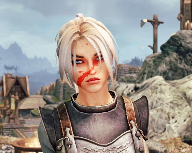 Skyrim Character Painting By Numbers Kits