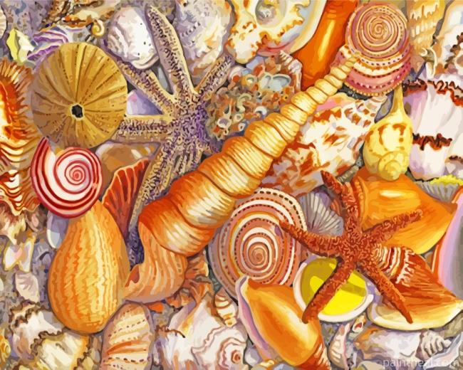 Aesthetic Sea Shells Art Painting By Numbers Kits