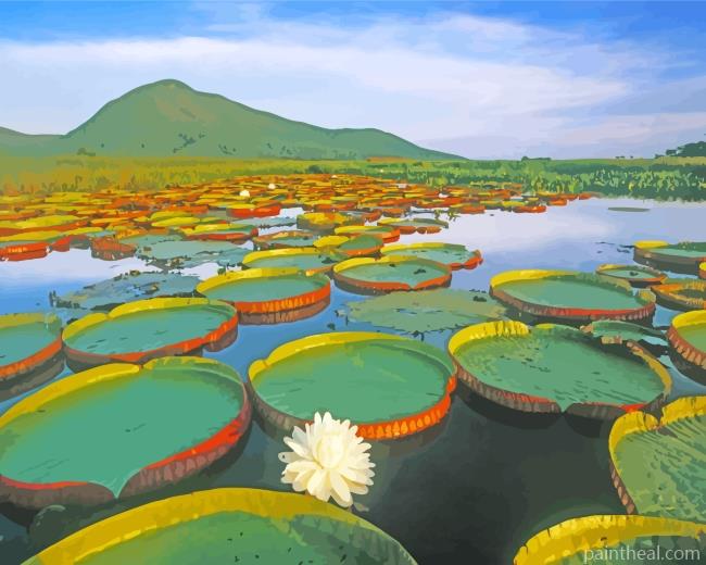 Water Giant Lilies Brazil Painting By Numbers Kits
