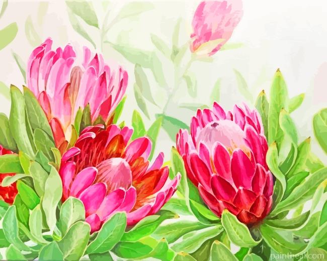 Blooming Pink Protea Painting By Numbers Kits