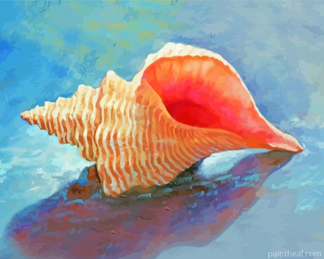Horse Conch Shell Painting By Numbers Kits
