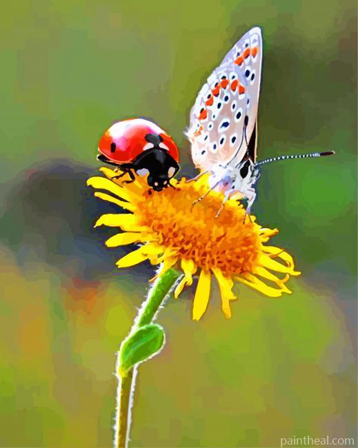 Aesthetic Ladybug And Butterfly Painting By Numbers Kits