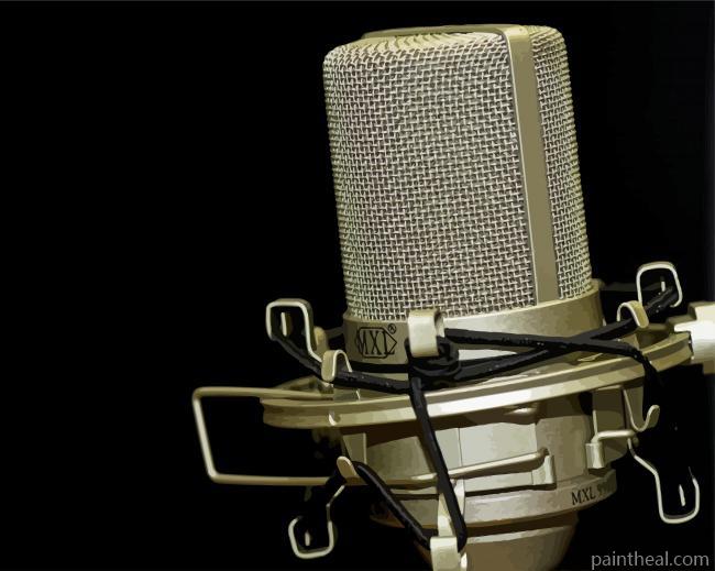 Gray Condenser Microphone Painting By Numbers Kits