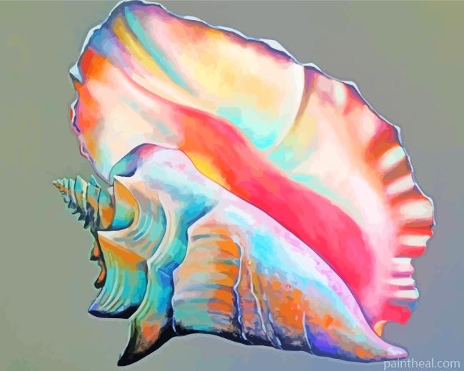 Colorful Conch Shell Painting By Numbers Kits