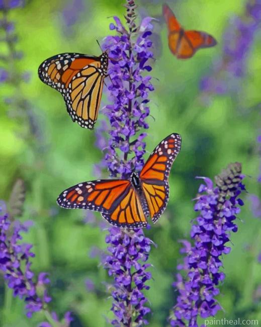 Butterflies On A Flower Painting By Numbers Kits