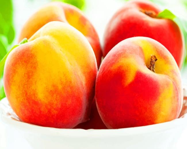Fresh Peaches Fruit Painting By Numbers Kits
