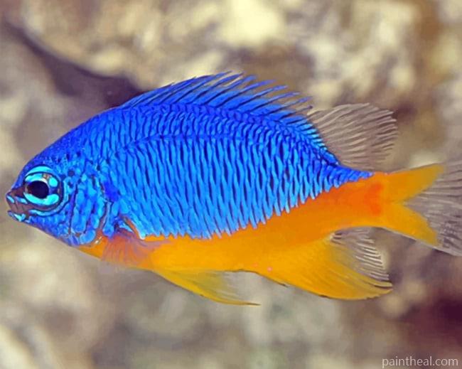 Azure Damselfish Painting By Numbers Kits