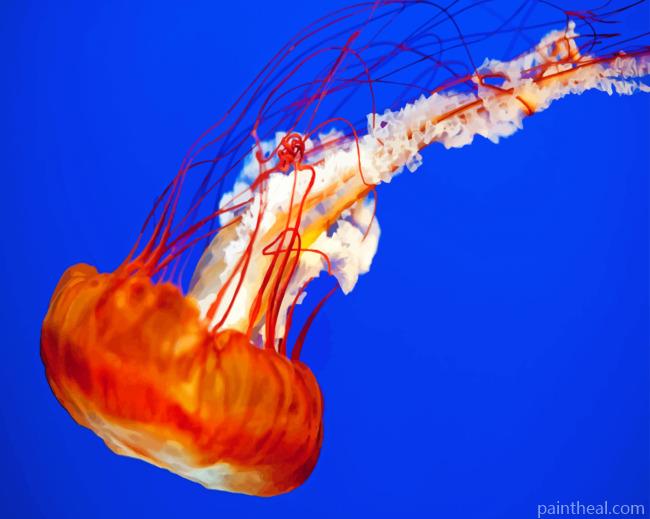 Close Up jelly Fish Painting By Numbers Kits