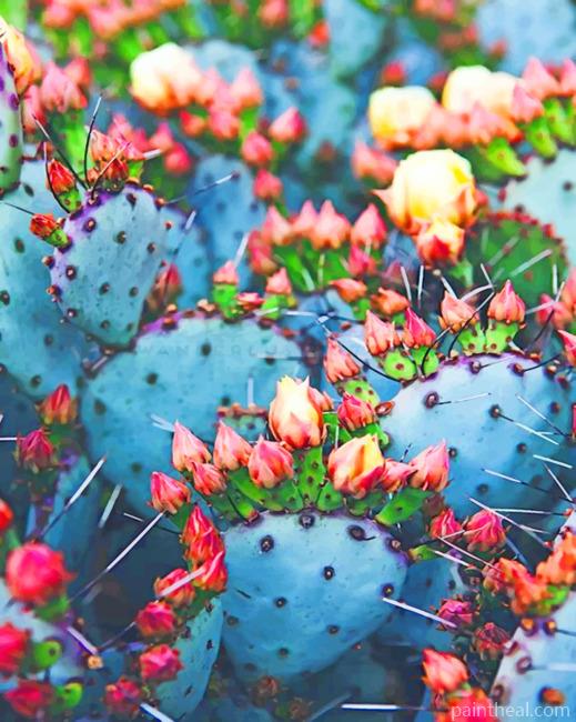 Cactus Garden Painting By Numbers Kits
