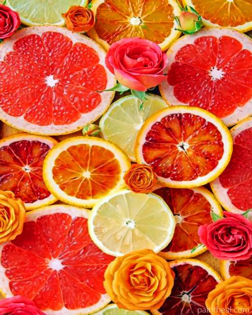 Sliced Oranges Painting By Numbers Kits