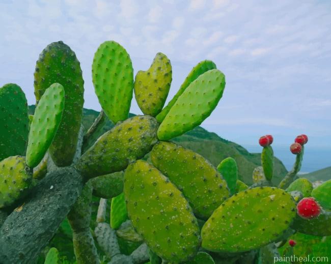 Green Cactus Plants Painting By Numbers Kits
