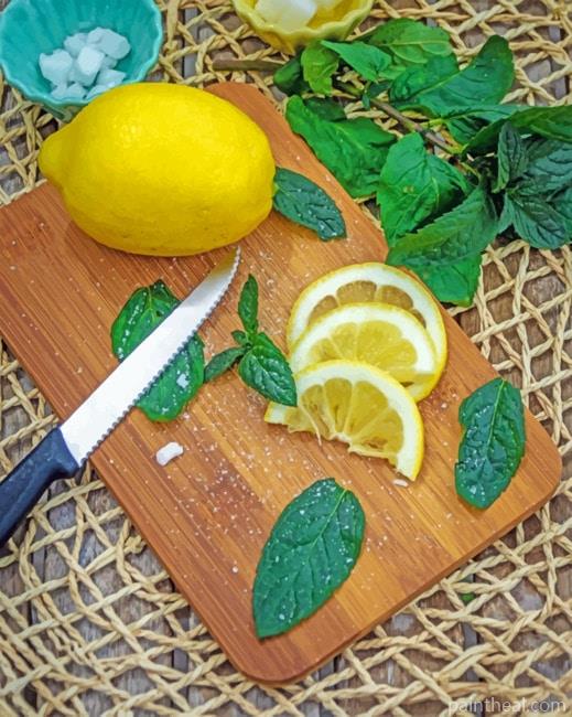 Sliced Lemon Painting By Numbers Kits