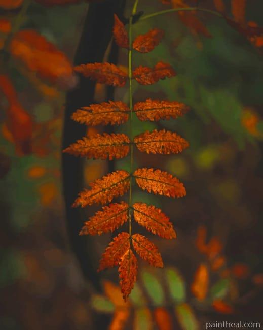 Brown Brusied Leaves Painting By Numbers Kits