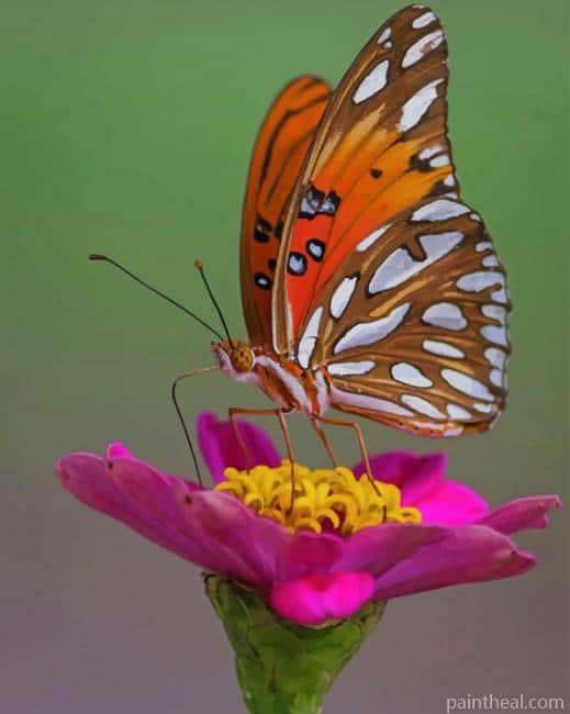 Orange and White Butterfly Painting By Numbers Kits