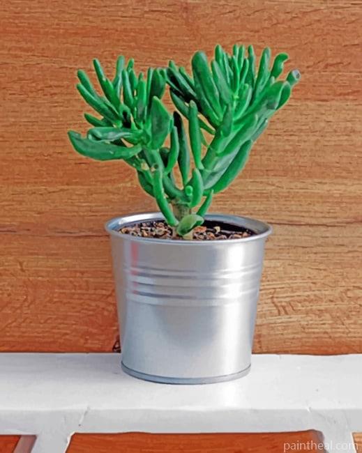 Green Plant On Pot Painting By Numbers Kits