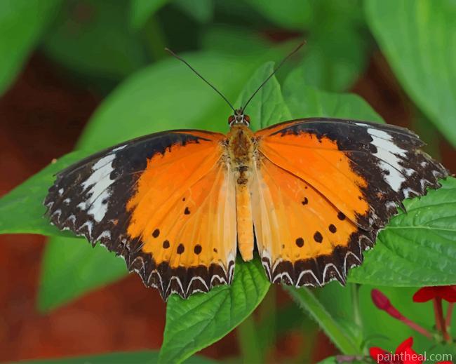 Tiger Milkweed Butterfly Painting By Numbers Kits