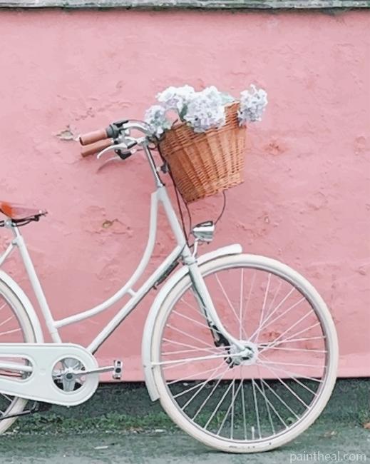 Bicycle and Flowers Basket Painting By Numbers Kits