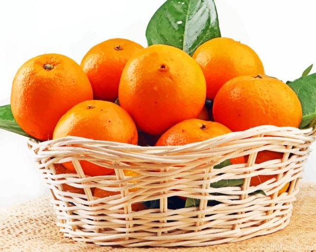 Orange Fruits in Basket Painting By Numbers Kits