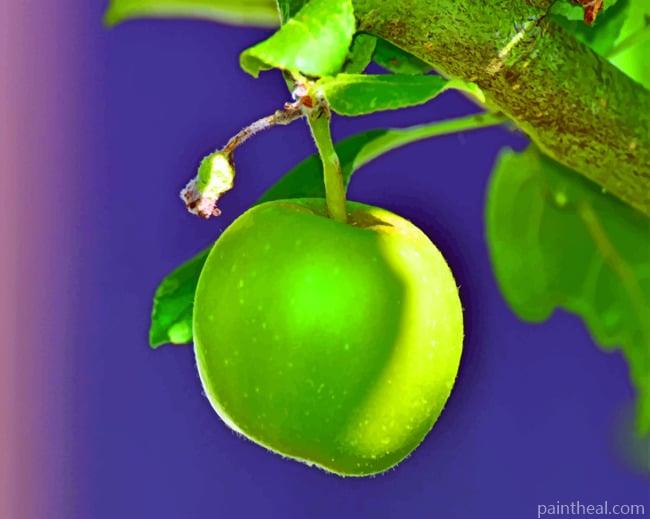 Green Apple On Tree Painting By Numbers Kits