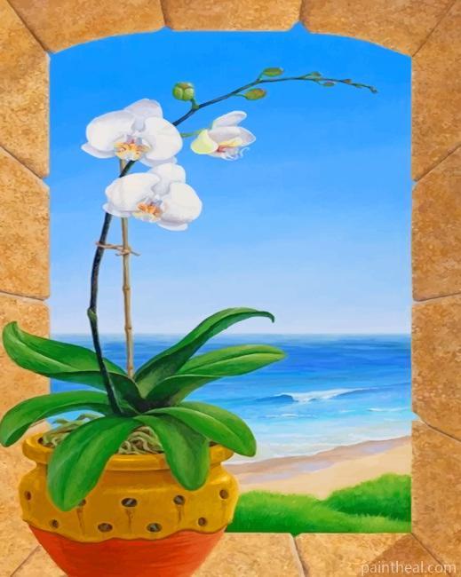 Plant Pot In Window Painting By Numbers Kits