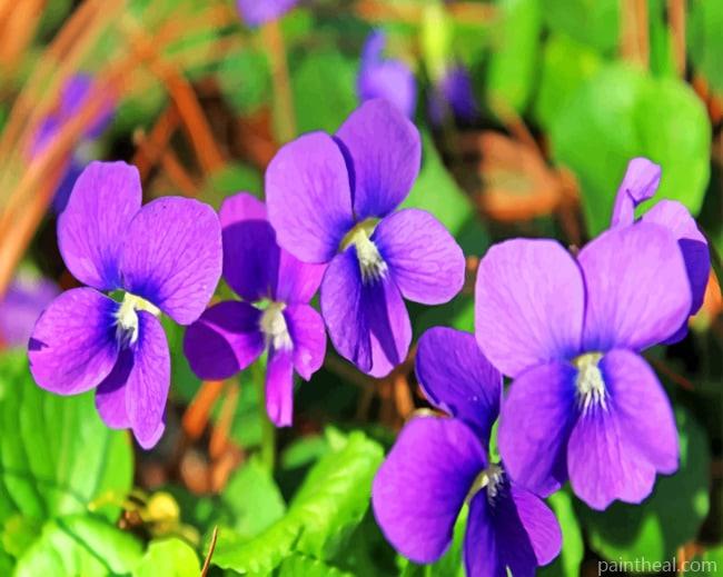 Blue Violet Painting By Numbers Kits