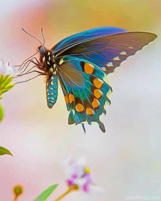 Swallowtail Butterfly Painting By Numbers Kits