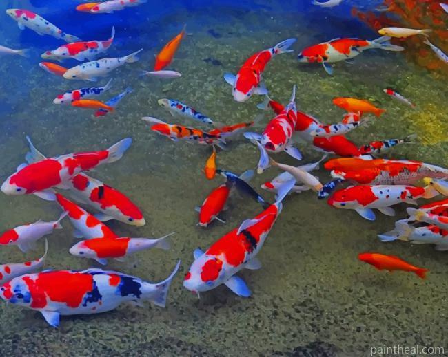 Koi Taisho Sanshoku Fish Painting By Numbers Kits