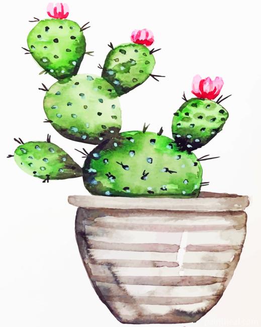 Cactus In Pot Painting By Numbers Kits
