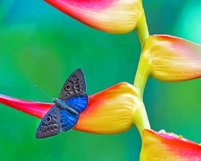 Black And Blue Insect Painting By Numbers Kits