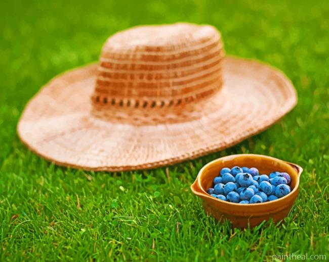 Blueberry Fruits And Hat Painting By Numbers Kits