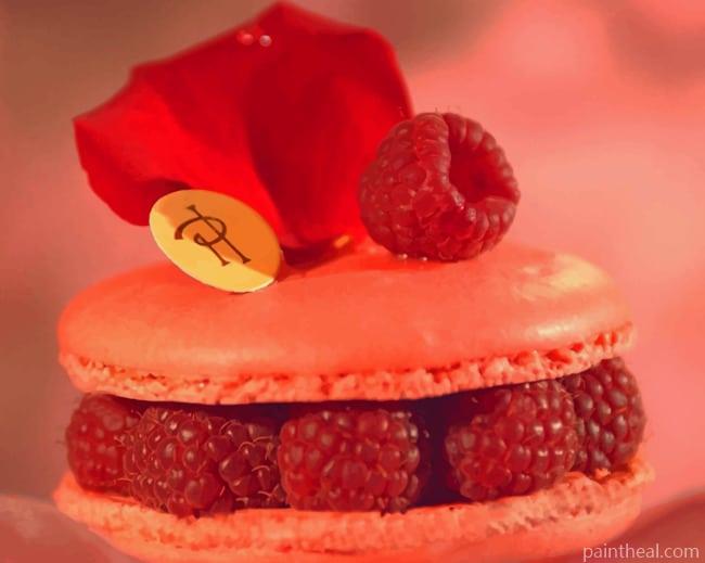 Cherries Macaron Dessert Painting By Numbers Kits