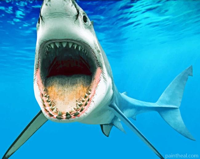 Vicious Mouth Of A Shark Painting By Numbers Kits