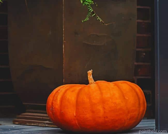 Pumpkin Squash Painting By Numbers Kits