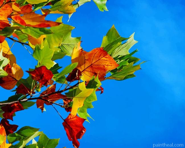 Colorful Fall Leaves Painting By Numbers Kits