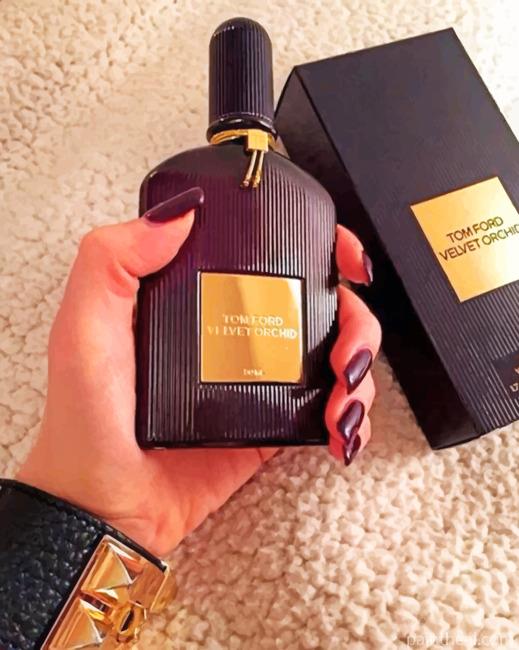 Tom Ford Velvet Orchid Painting By Numbers Kits