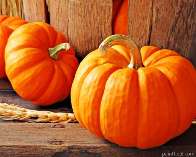 Squash Pumpkins Painting By Numbers Kits