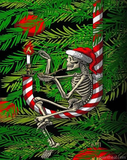 Christmas Skull Painting By Numbers Kits