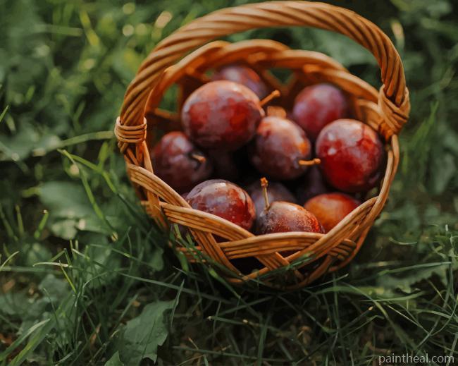 Plum Fruit In Basket Painting By Numbers Kits