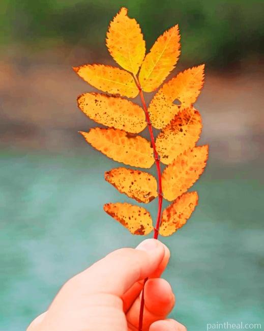 Hand Holding Autumn Leaf Painting By Numbers Kits