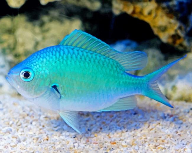 Blue Fish Painting By Numbers Kits