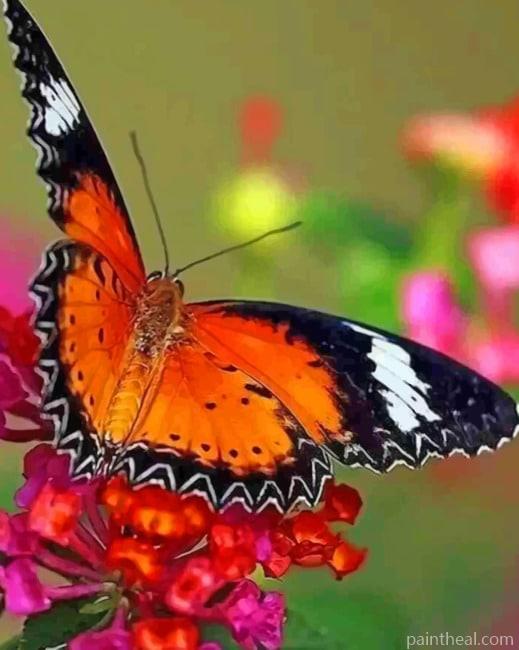 Painted Lady Butterfly Painting By Numbers Kits