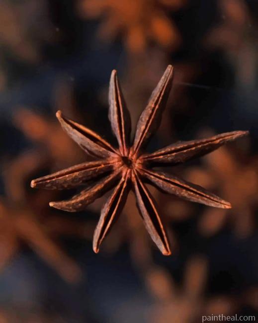 Star Anise Painting By Numbers Kits