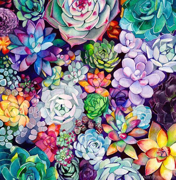 Colorful Succulent Garden Painting By Numbers Kits