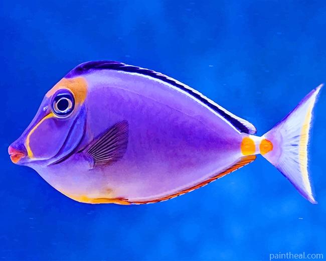 Purple Fish Painting By Numbers Kits